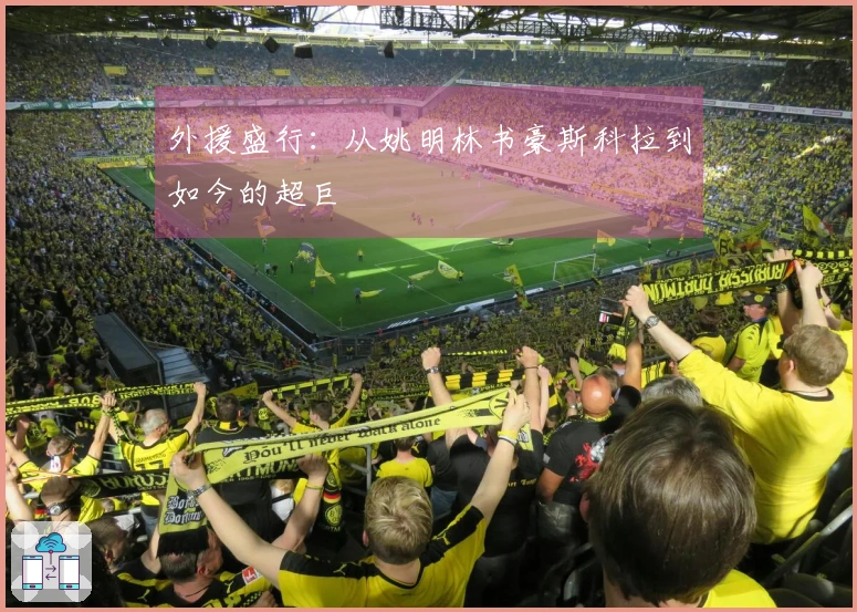 外援盛行：从姚明林书豪斯科拉到如今的超巨
