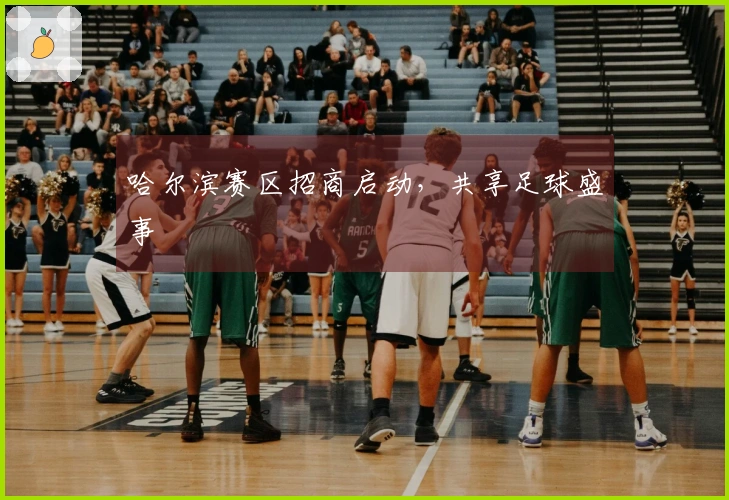 哈尔滨赛区招商启动，共享足球盛事