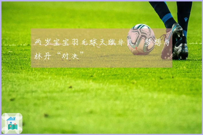 两岁宝宝羽毛球天赋非凡，梦想与林丹“对决”